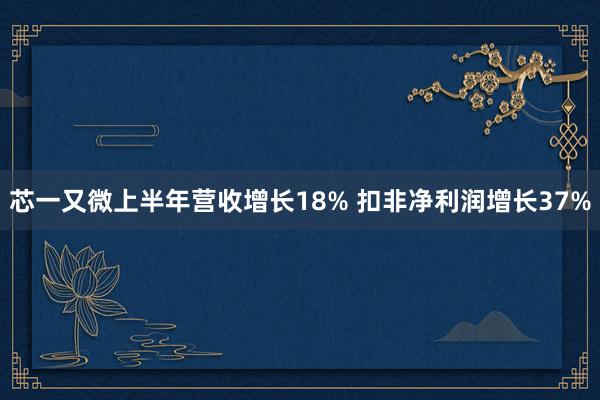 芯一又微上半年营收增长18% 扣非净利润增长37%