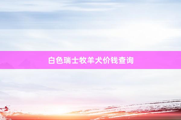 白色瑞士牧羊犬价钱查询