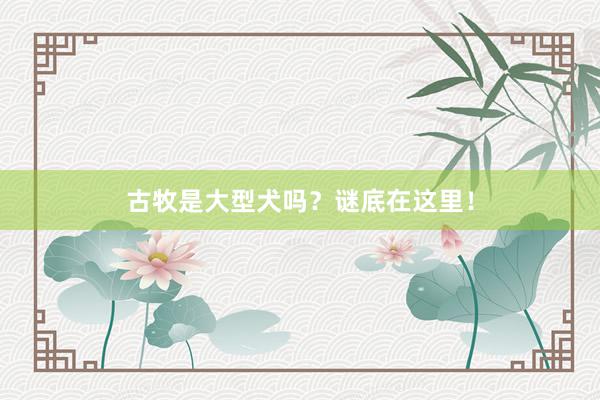 古牧是大型犬吗？谜底在这里！