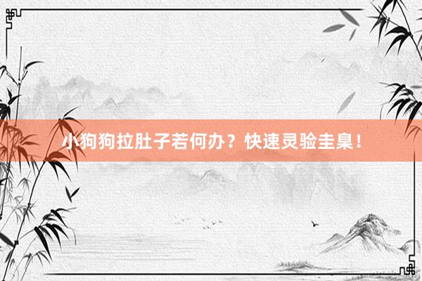 小狗狗拉肚子若何办？快速灵验圭臬！