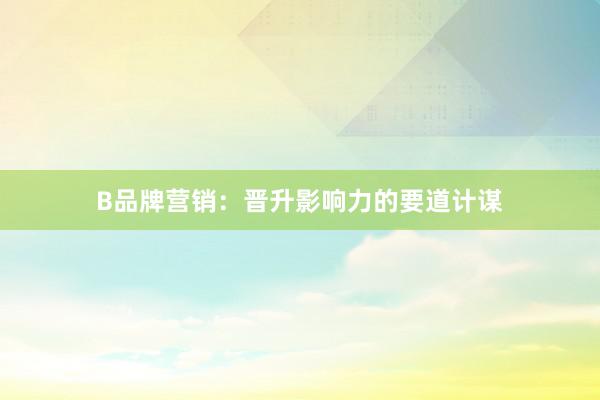 B品牌营销：晋升影响力的要道计谋