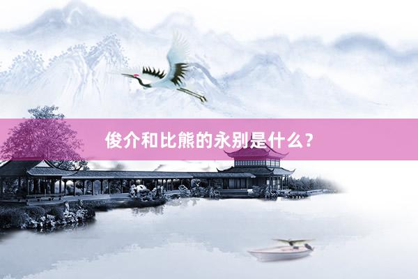 俊介和比熊的永别是什么？